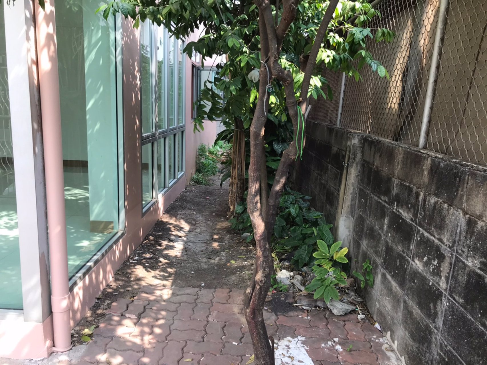 ให้เช่าบ้านเดี่ยว-3ชั้น-เหมาะทำโฮมออฟฟิส-และพักอาศัย-ย่านทาวน์อินทาวน์