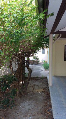 tk93-ให้เช่าบ้านเดี่ยว-2ชั้น-หมู่บ้านพฤกษชาติ-รามคำแหง-118-พื้นที่-100-ตรว-บรรยากาศร่มรื่นน่าอยู่