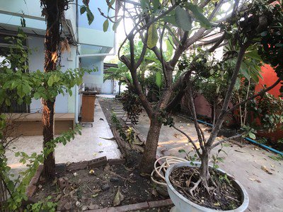 tk55-ให้เช่าบ้านเดี่ยว2ชั้น-ซอยพระรามเก้า-51-เนื้อที่-85-ตรว-หมู่บ้านเสรี-ใกล้the-nine