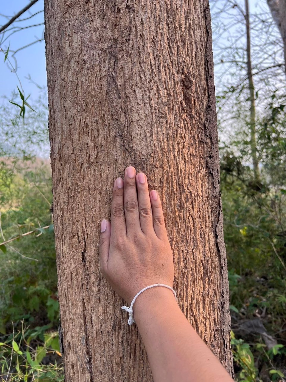 ขายที่ดิน-โฉนดครุฑแดง-เจ้าของขายเอง-ที่บ้านหนองฟ้าแลบ-อด่านซ้าย