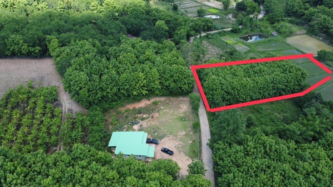 ขายที่ดิน-โฉนดครุฑแดง-เจ้าของขายเอง-ที่บ้านหนองฟ้าแลบ-อด่านซ้าย