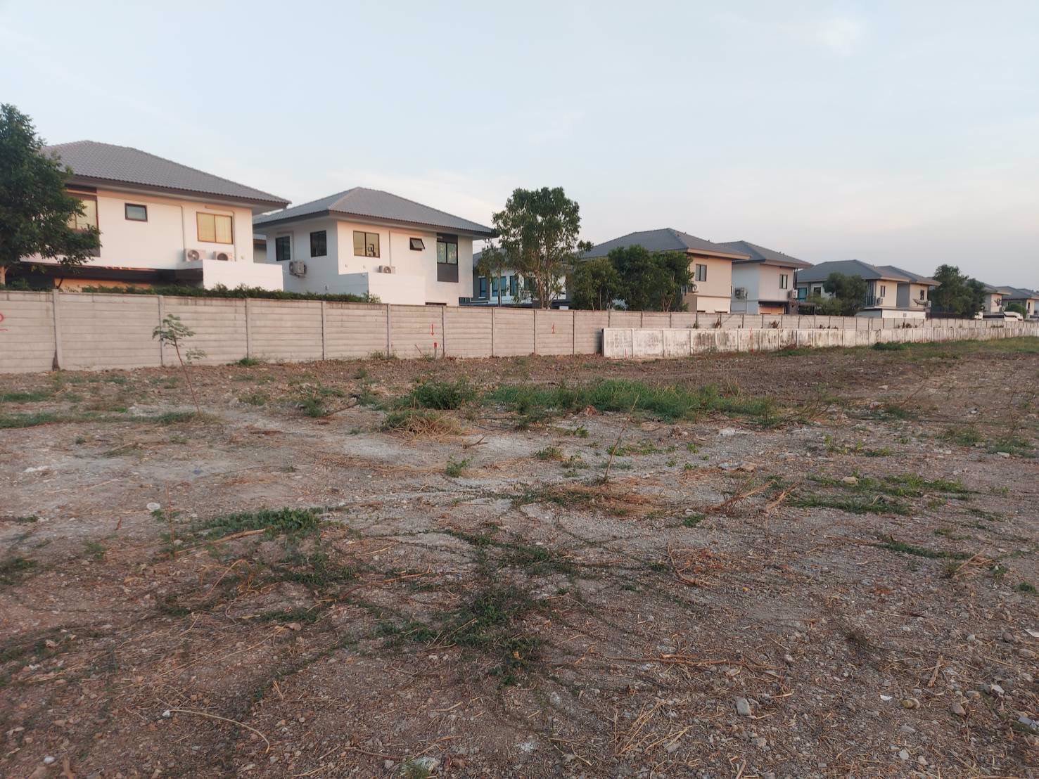 ขายที่ดินโซนบางใหญ่-ถมแล้ว-ราคาถูกมาก