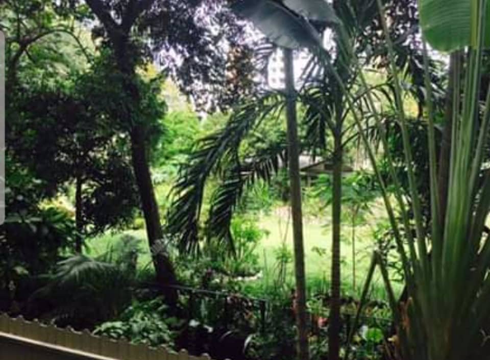 ให้เช่าคอนโดทำเลดี-คอนโดเลต-ดะเวล-สุขุมวิท-26-condolette-dwell-sukhumvit-26-for-rent-sizes-32-sq