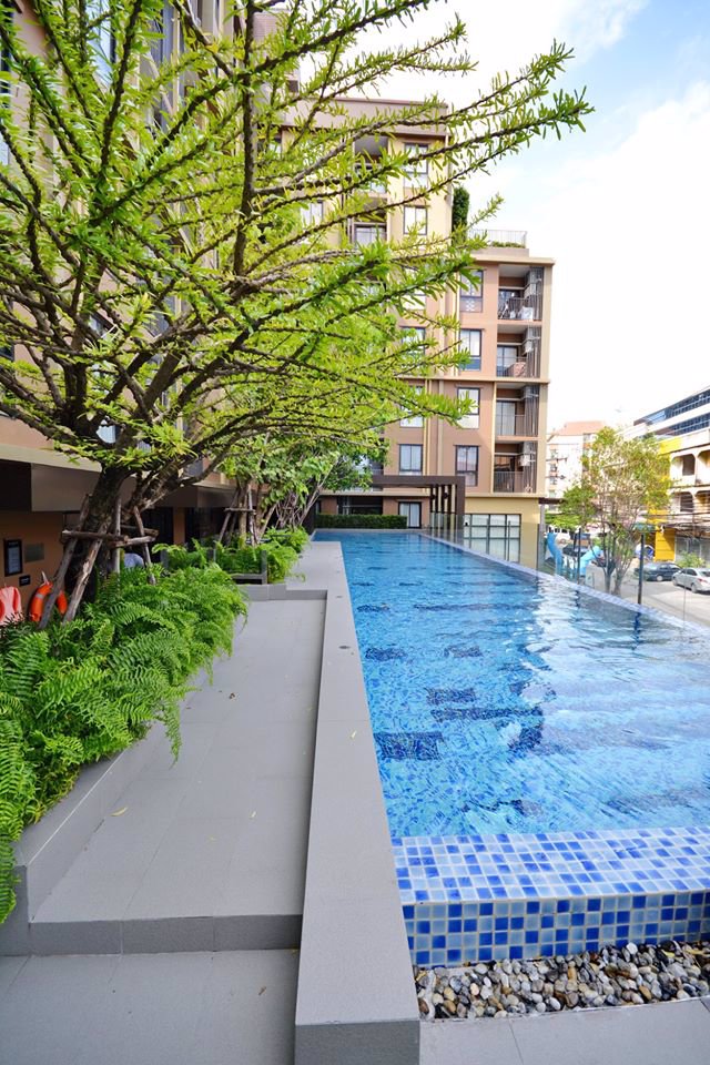 ให้เช่าคอนโดทำเลดี-เดอะทรี-อ่อนนุช-the-tree-onnut-for-rent-level-4-size-28-sqm