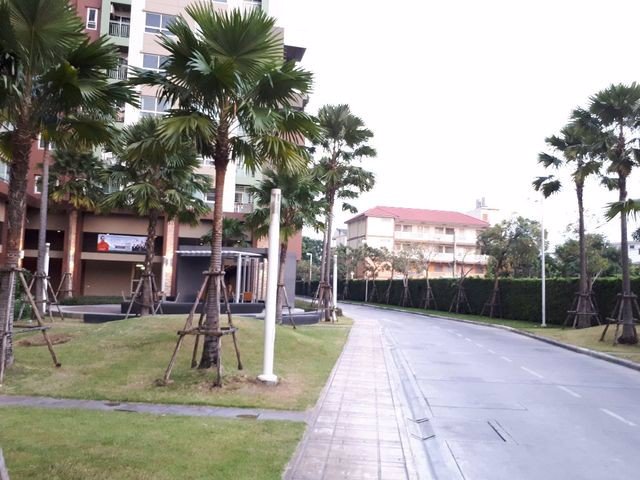 ขายถูกมากคอนโดลุมพินีเพลส-ศรีนครินทร์-หัวหมาก-ใกล้-แอร์พอร์ตลิงค์-สถานีหัวหมาก-เพียง-265-ล้านบาท