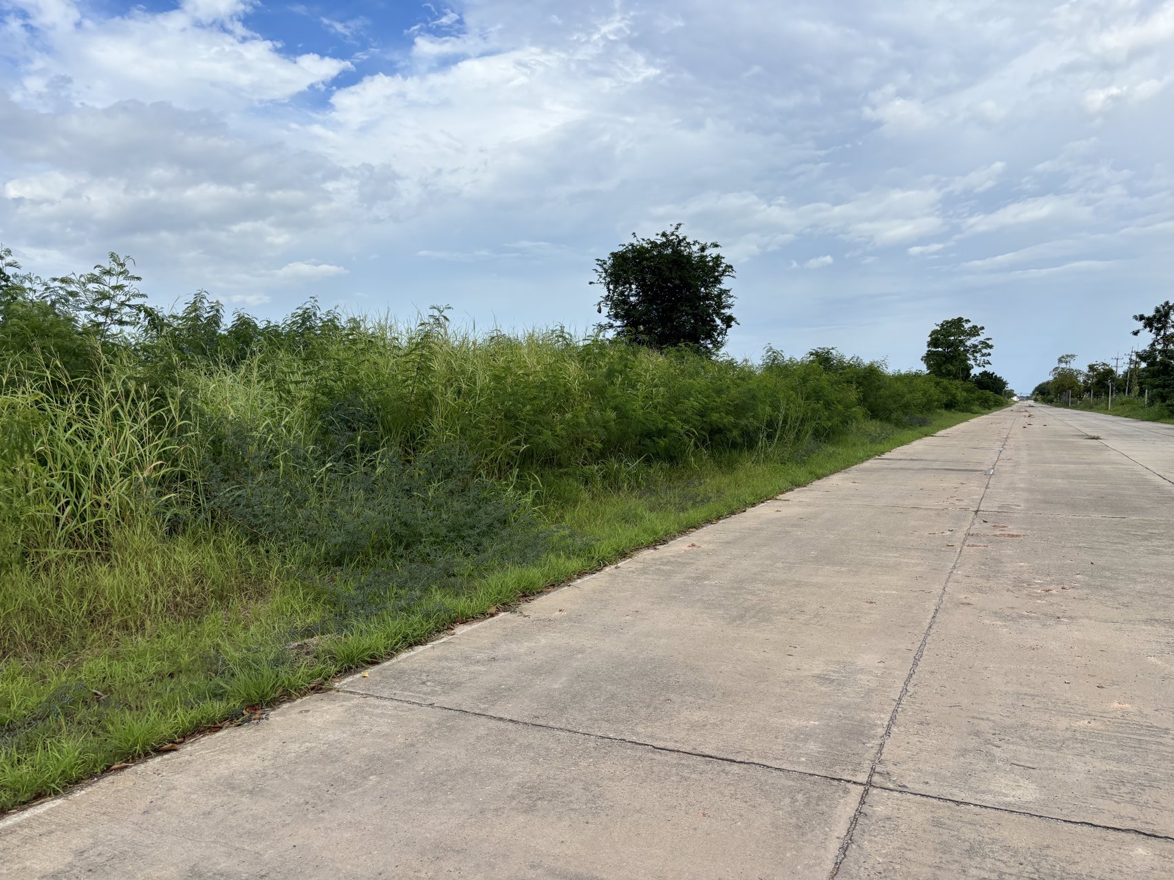 ขายที่ดินผังม่วงลาย-ทำเลดี-ตคลองอุดมชลจร-อเมืองฉะเชิงเทรา-จฉะเชิงเทรา