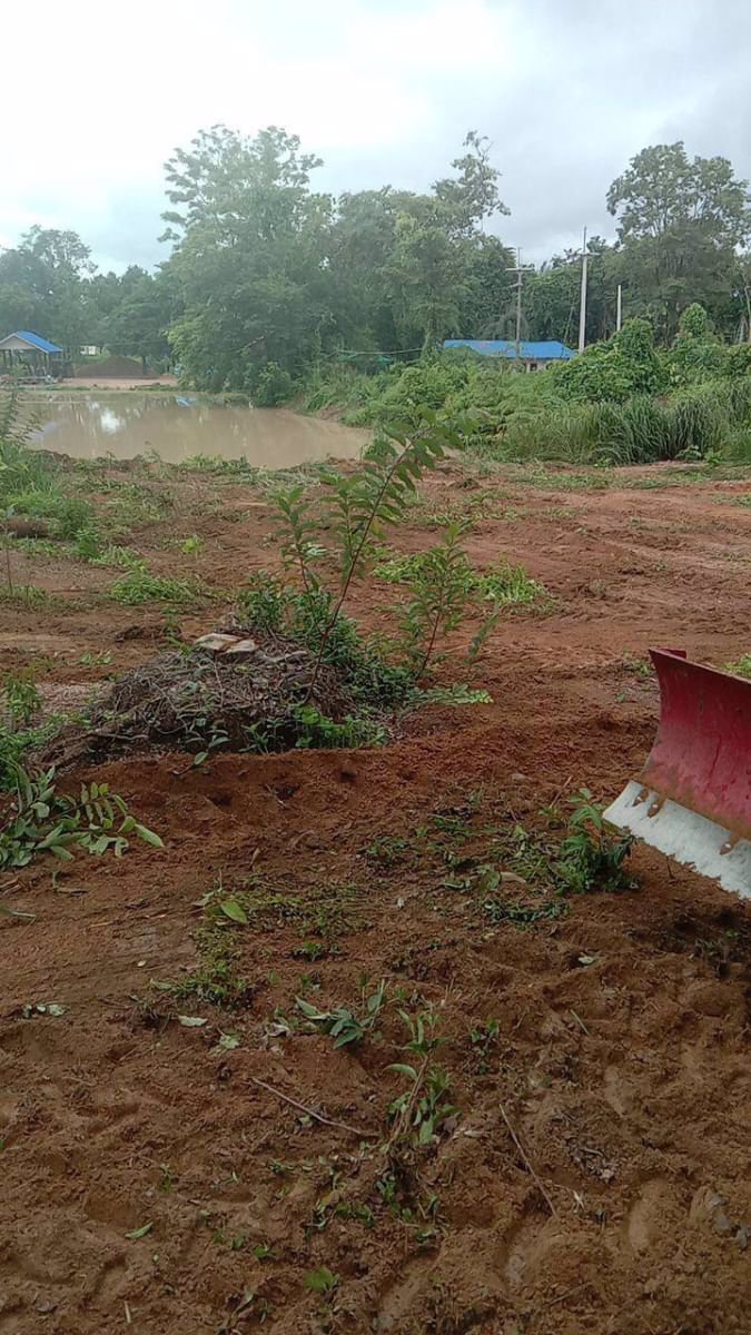 ขายที่ดินเนื้อที่-50-ตรว-ราคา150000บาท-ผ่อนวัน100บาท-