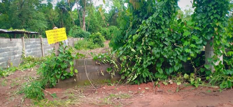 ขายที่ดินเนื้อที่-50-ตรว-ราคา150000บาท-ผ่อนวัน100บาท-