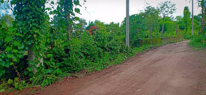 ขายที่ดินเนื้อที่-50-ตรว-ราคา150000บาท-ผ่อนวัน100บาท-