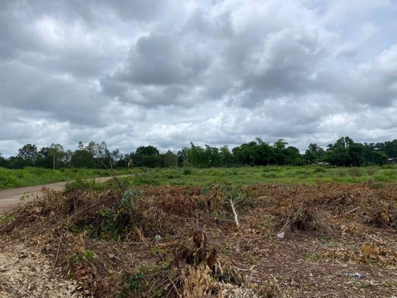 ขายที่ดิน-เนื้อที่-18-ไร่-ติดทางหน้ากว้าง-สามารถแบ่งขายได้