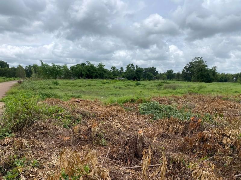 ขายที่ดิน-เนื้อที่-18-ไร่-ติดทางหน้ากว้าง-สามารถแบ่งขายได้