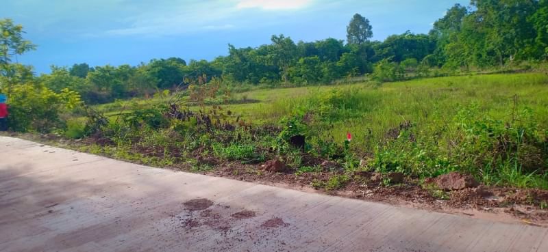 ขายที่ดินโฉนด-5ไร่-3งาน-ราคาไร่ละ390000บาท