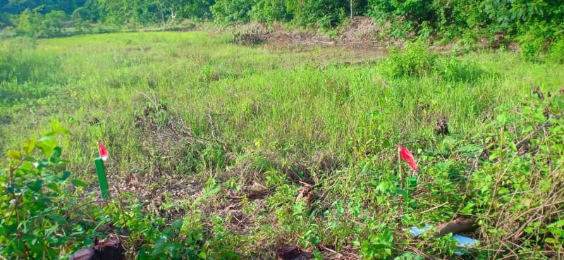 ขายที่ดินโฉนด-5ไร่-3งาน-ราคาไร่ละ390000บาท