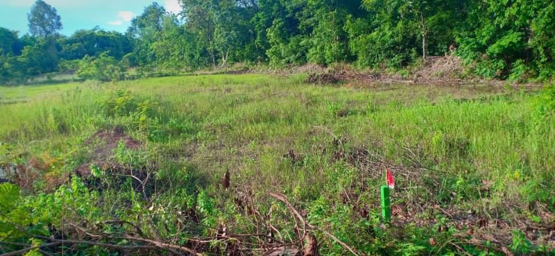 ขายที่ดินโฉนด-5ไร่-3งาน-ราคาไร่ละ390000บาท