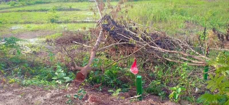 ขายที่ดินโฉนด-5ไร่-3งาน-ราคาไร่ละ390000บาท