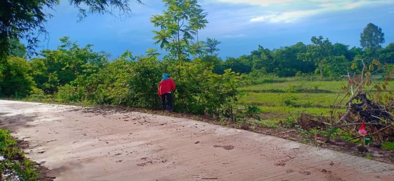 ขายที่ดินโฉนด-5ไร่-3งาน-ราคาไร่ละ390000บาท