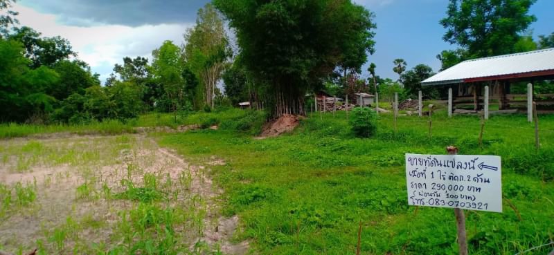 ขายที่ดินเนื้อที่-1ไร่-ราคา-290000บาท