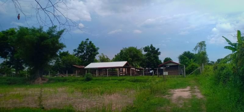 ขายที่ดินเนื้อที่-1ไร่-ราคา-290000บาท