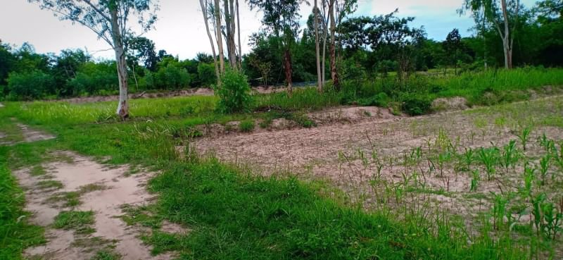 ขายที่ดินเนื้อที่-1ไร่-ราคา-290000บาท