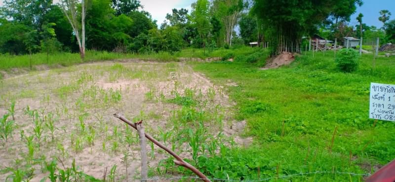 ขายที่ดินเนื้อที่-1ไร่-ราคา-290000บาท