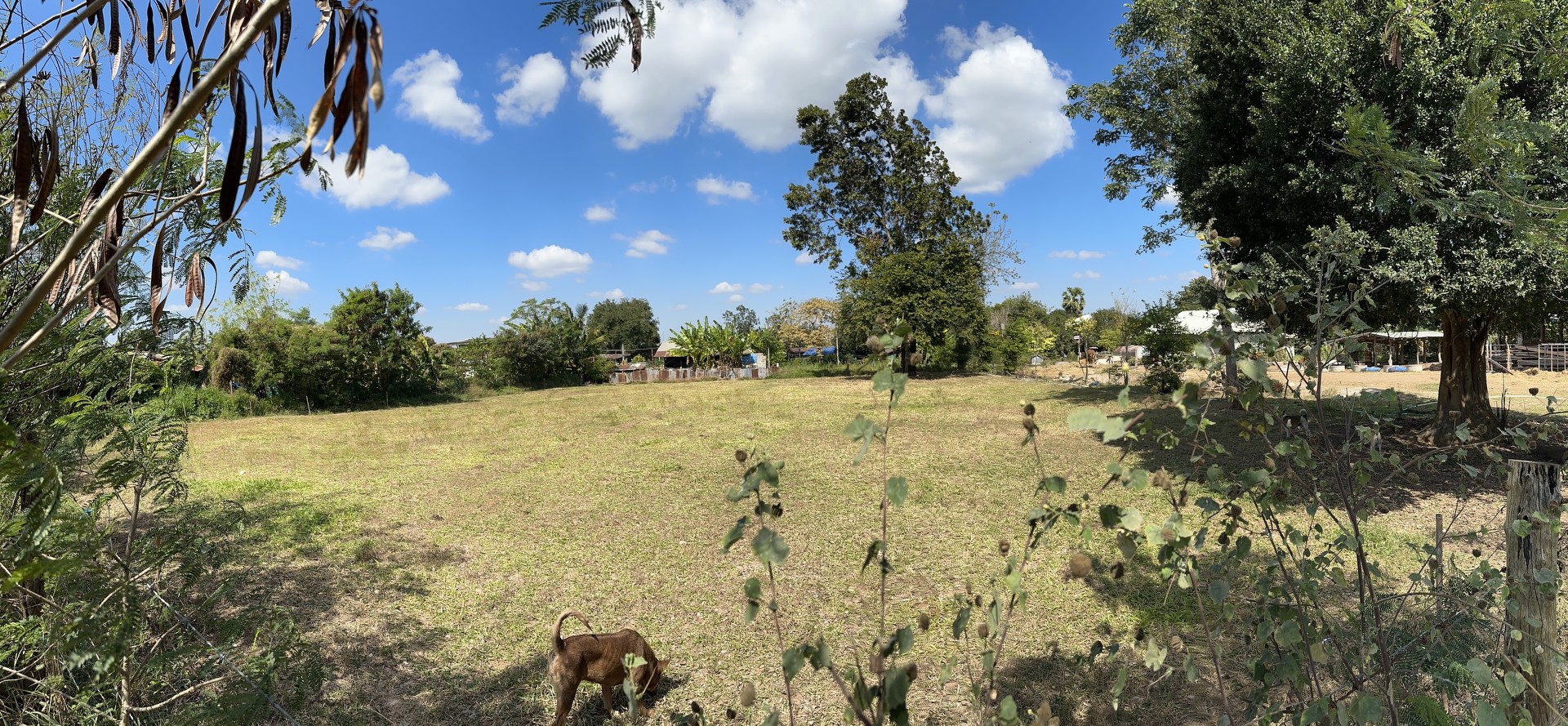 ที่ดินโคกกรวด-ใกล้เมืองนครราชสีมา