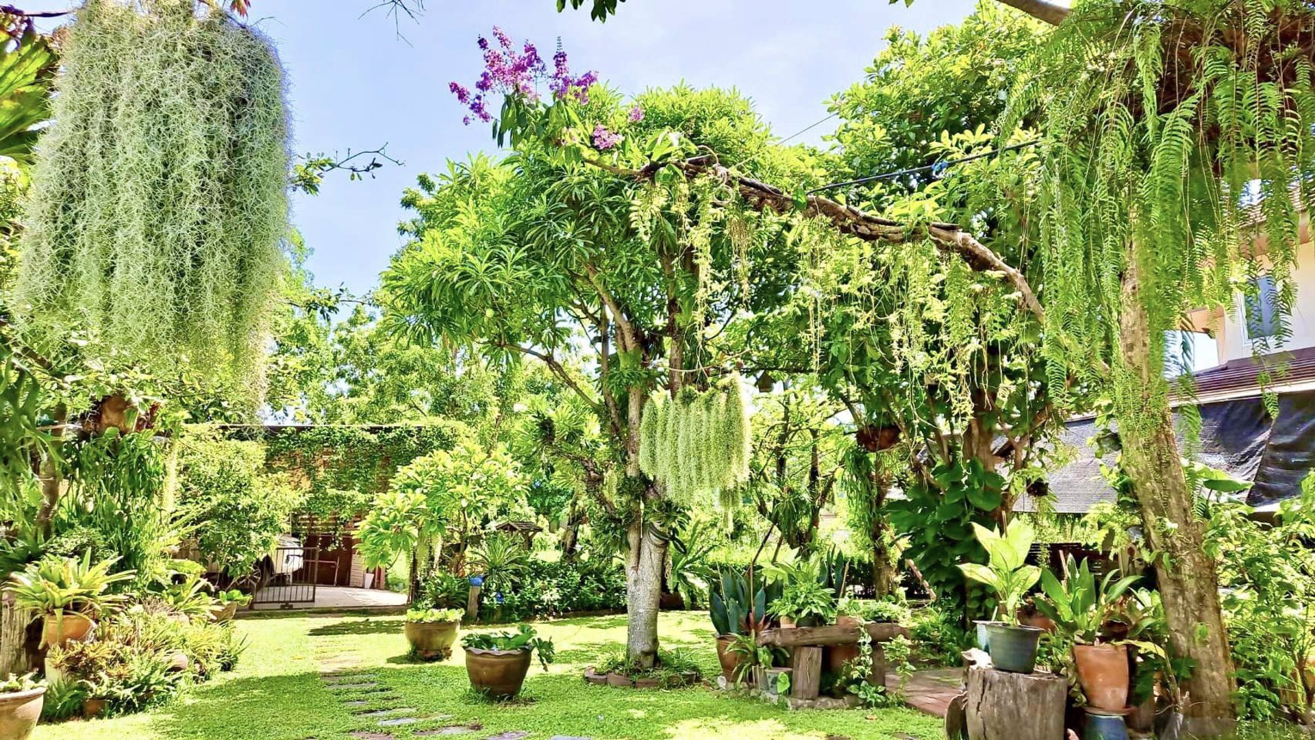 ขายด่วน-บ้านเดี่ยวหลังใหญ่-กลางเมือง-ติดน้ำ