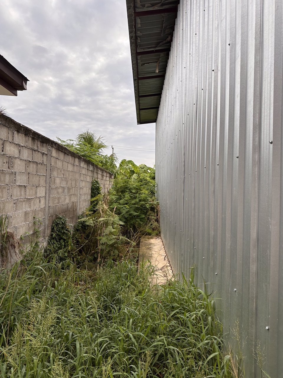 ขายบ้าน-โกดัง-เนื้อที่-192-ตรวา