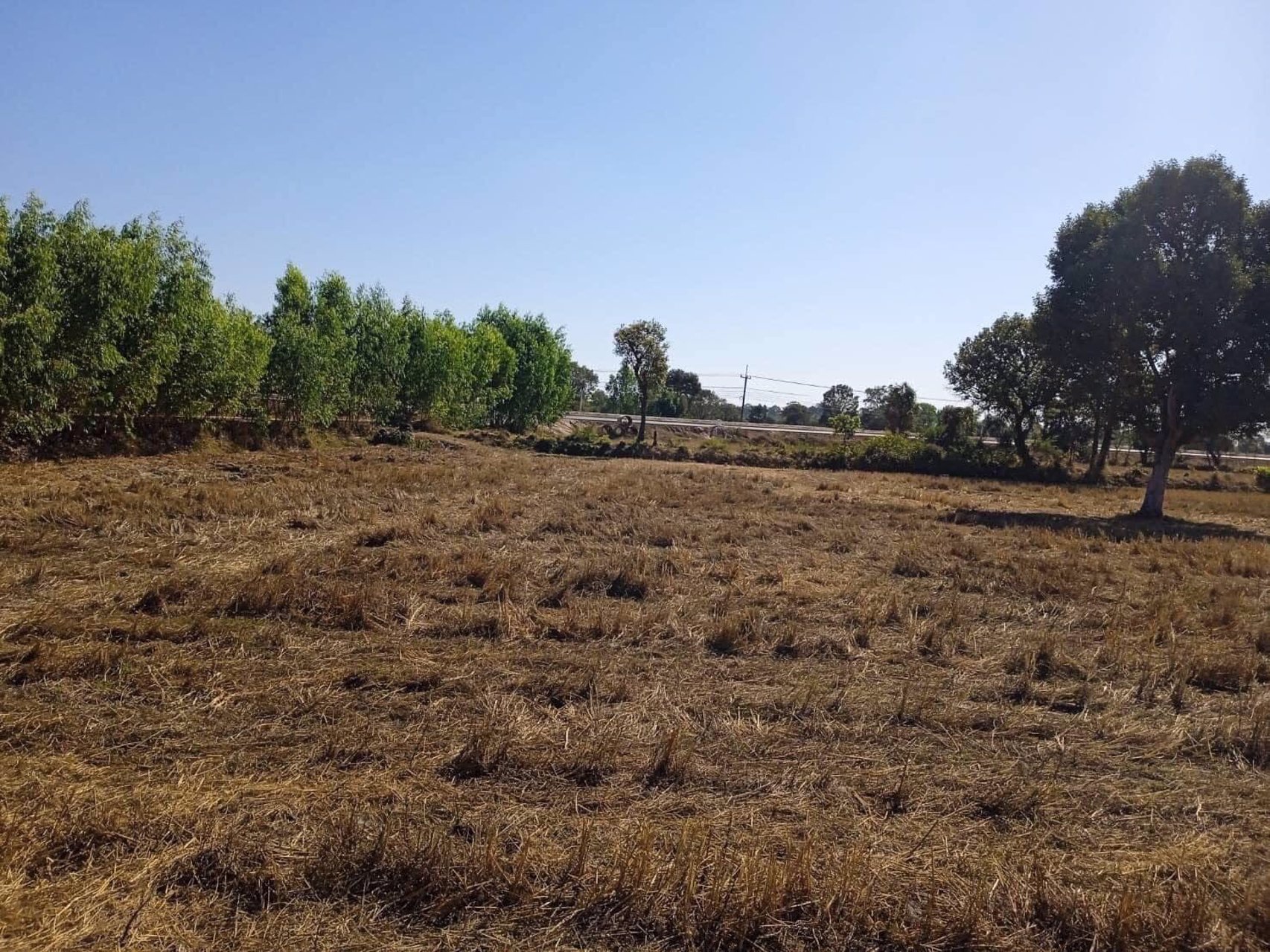 ขายที่ดิน1แปลง-14ไร่-47ตรว-โฉนดครุฑแดง