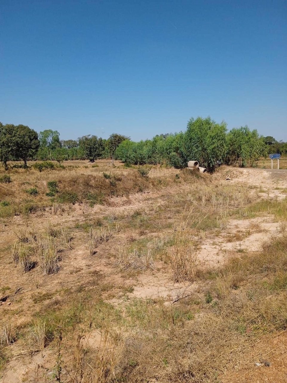 ขายที่ดิน1แปลง-14ไร่-47ตรว-โฉนดครุฑแดง