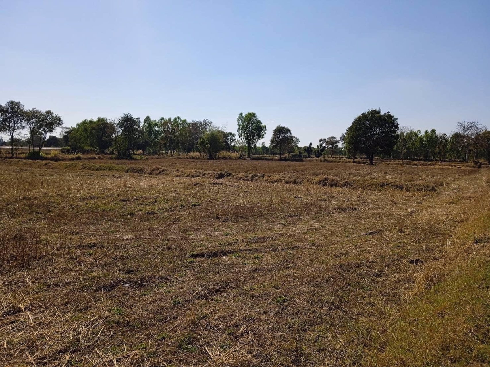 ขายที่ดิน1แปลง-14ไร่-47ตรว-โฉนดครุฑแดง