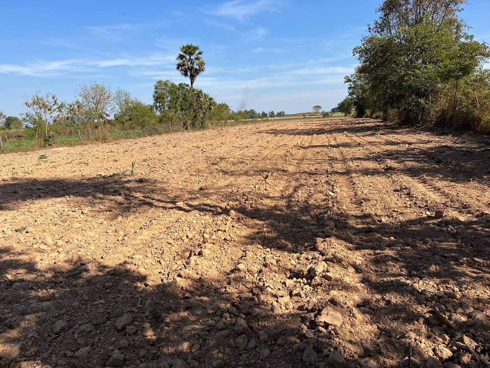 ขายที่ดิน-เนื้อที่-6ไร่-1งาน-66-ตรว