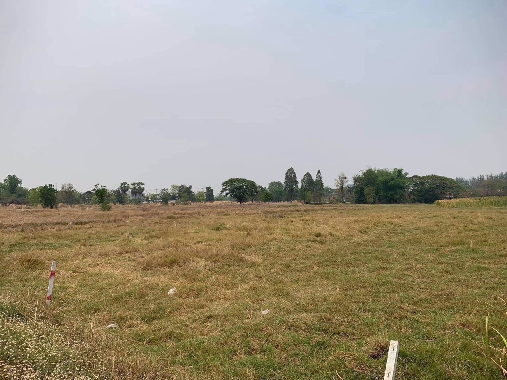 ขายที่ดิน-5ไร่-เป็นโฉนดครุฑแดงพร้อมโอน