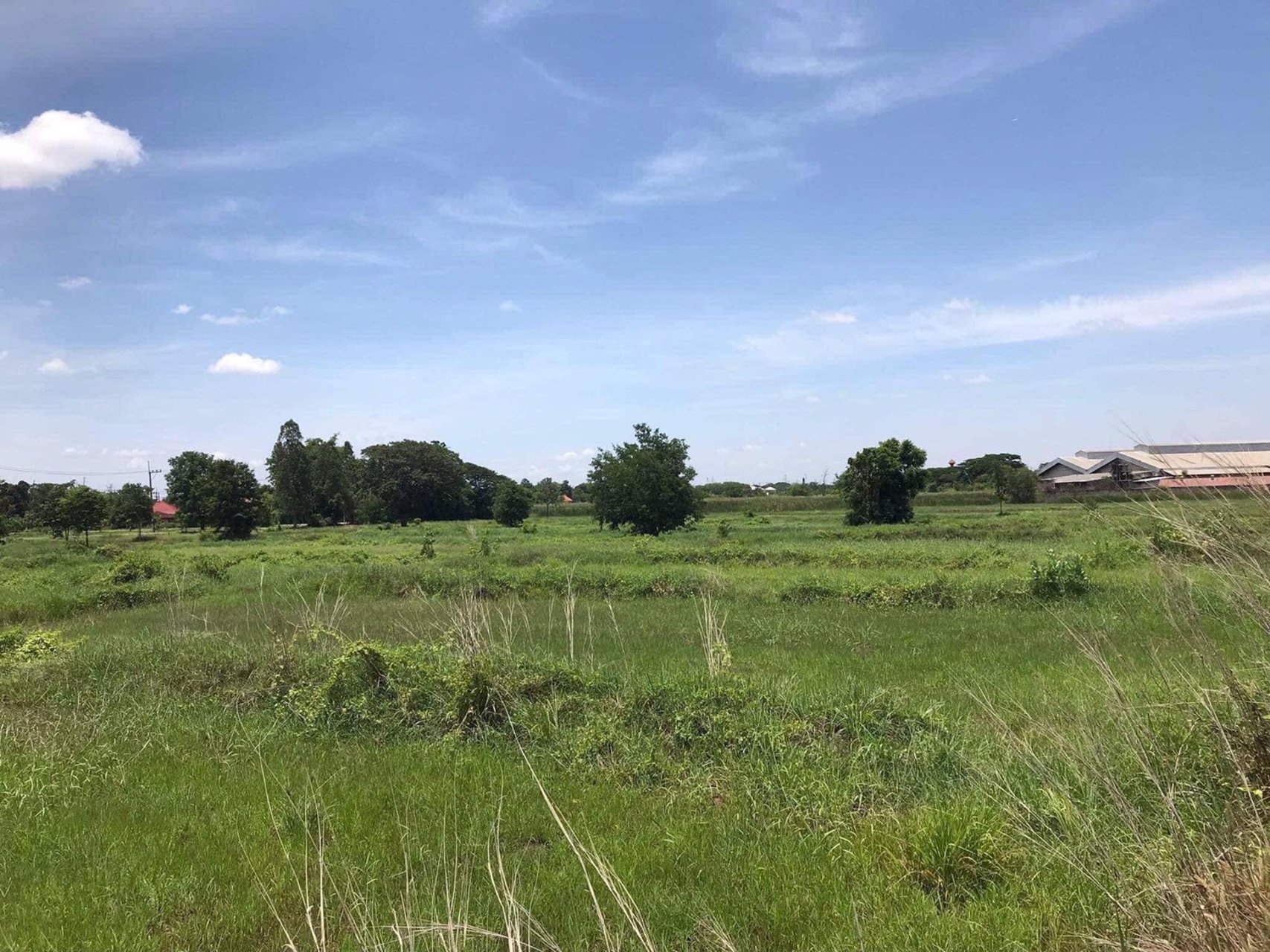 ขายที่ดิน-5ไร่-เป็นโฉนดครุฑแดงพร้อมโอน