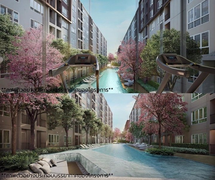 ขายด่วน-3-ห้องสวย-d-condo-campus-kampangsaen-ใกล้-มเกษตรศาสตร์เพียง-5-นาที