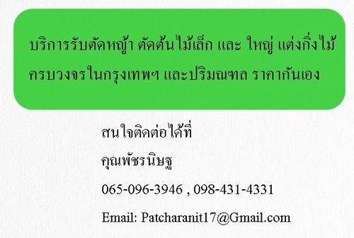 บริการรับตัดหญ้า-ตัดต้นไม้เล็ก-และ-ใหญ่-แต่งกิ่งไม้-ครบวงจรในกรุงเทพฯ-และปริมณฑล-ราคากันเอง