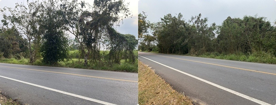 ขายที่ดิน-เนื้อที่-29-ไร่-เกาะจันทร์-จังหวัดชลบุรี