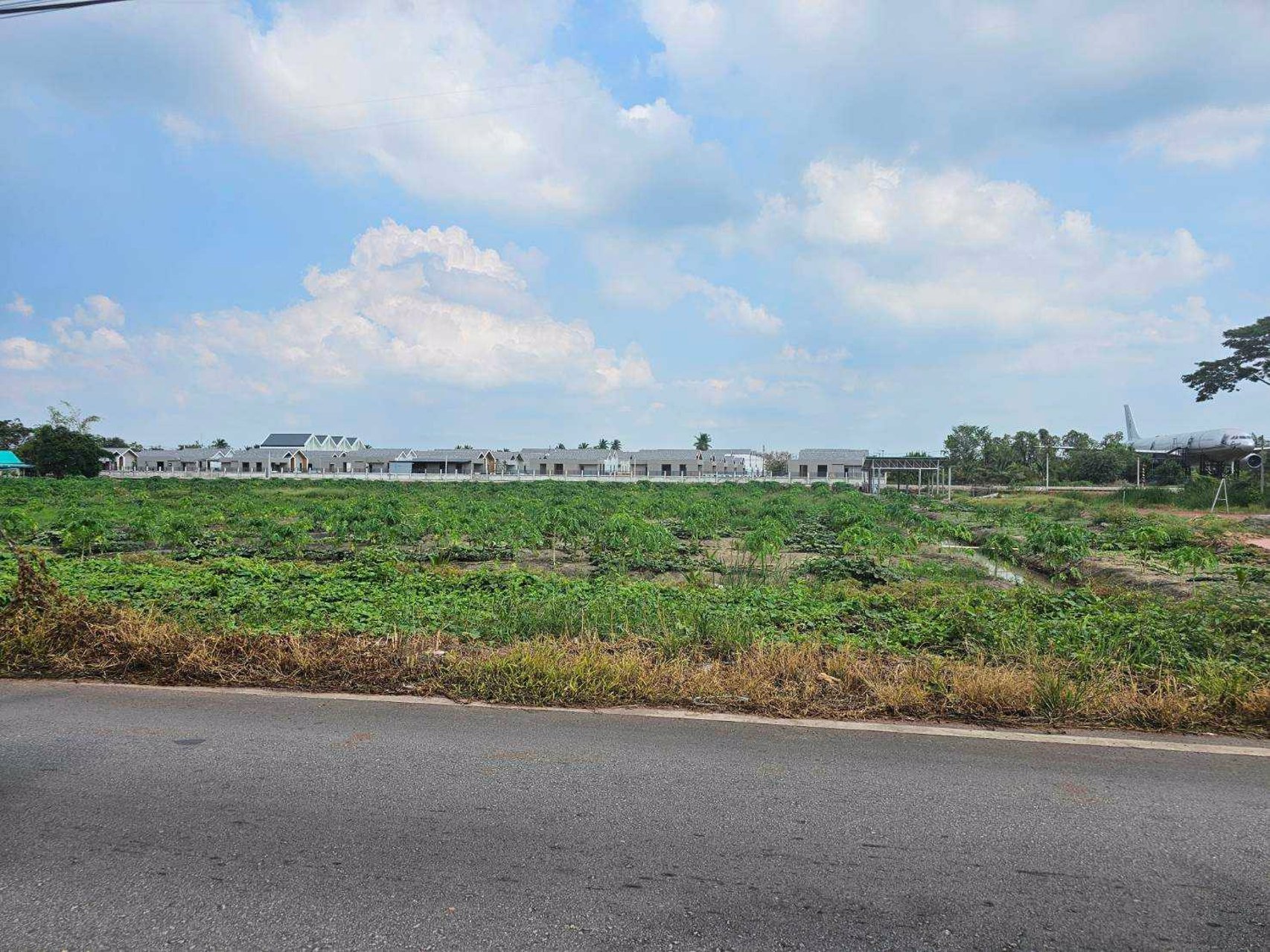 ขายที่เปล่าติดถนนหลักห้าอำเภอดำเนินสะดวก-ราชบุรี