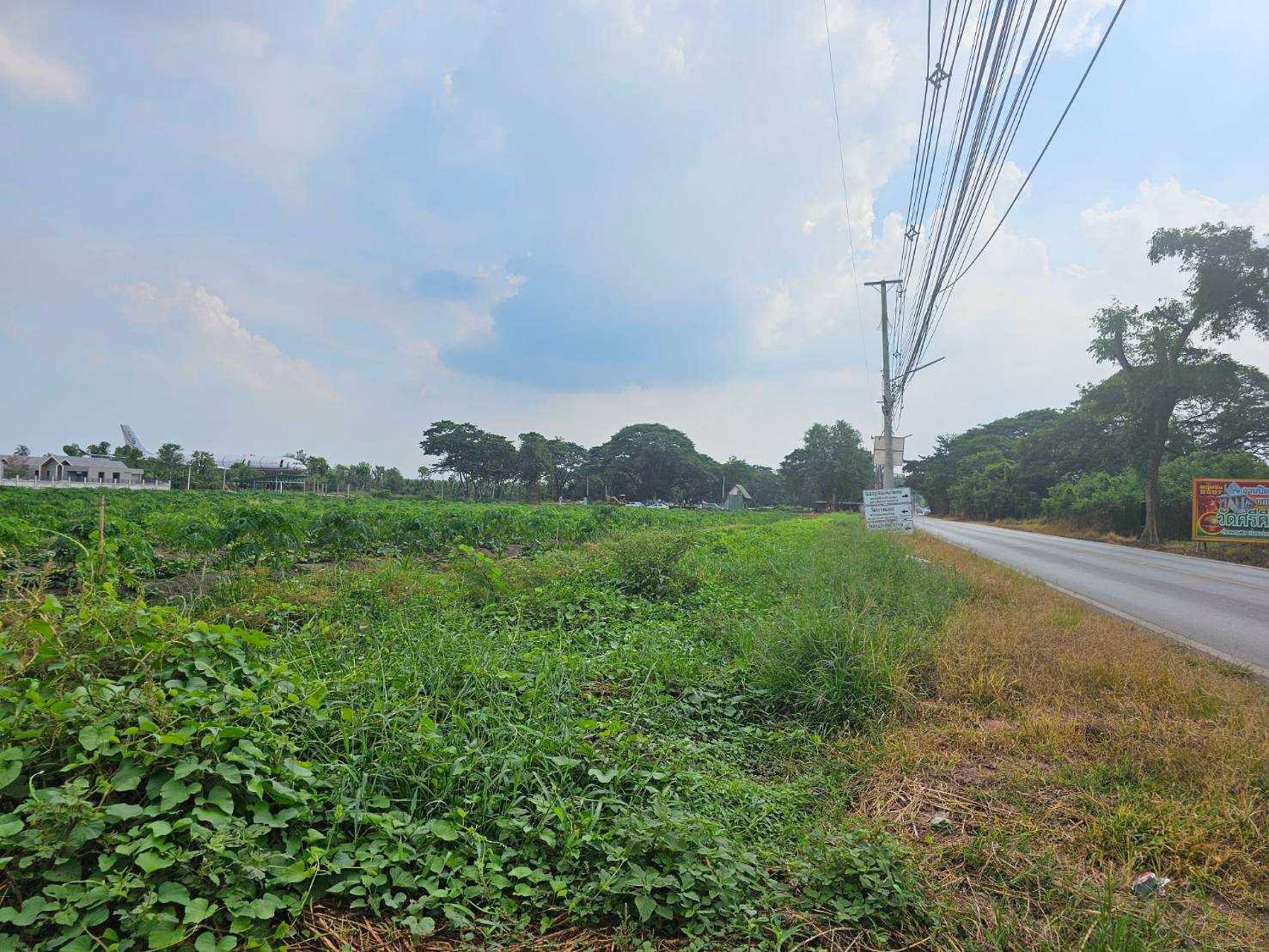 ขายที่เปล่าติดถนนหลักห้าอำเภอดำเนินสะดวก-ราชบุรี