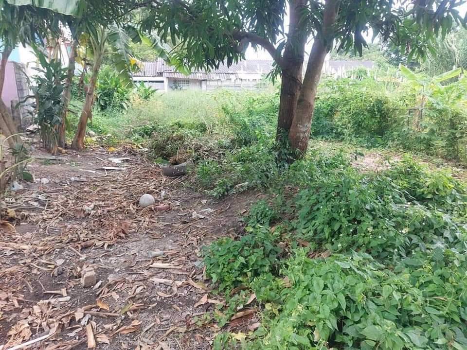 ขายที่ดิน-เนื้อที่195-ตรว-หลังโลตัสตะเคียนเตี้ย-ชุมชนหนองปรือทางรถไฟ