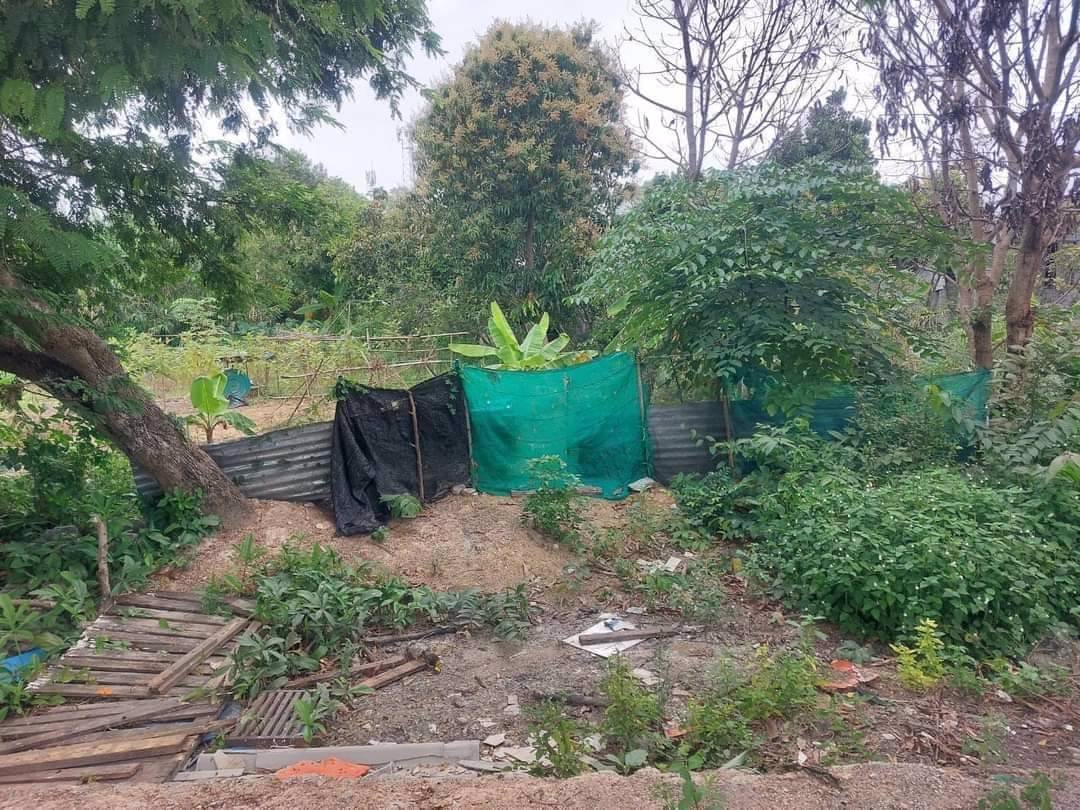 ขายที่ดิน-เนื้อที่195-ตรว-หลังโลตัสตะเคียนเตี้ย-ชุมชนหนองปรือทางรถไฟ