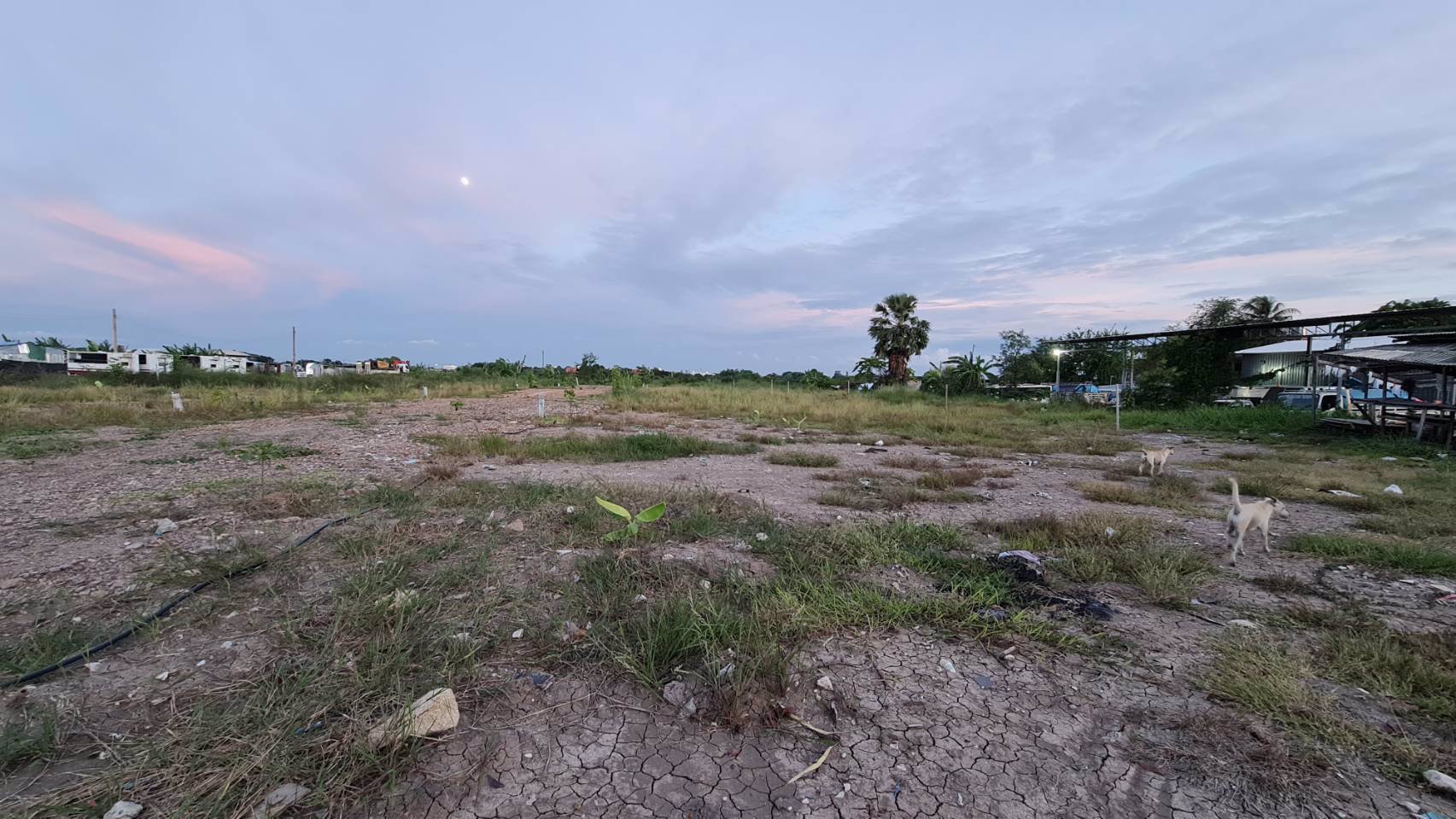 ให้เช่าที่ดินเปล่าถมแล้ว-เนื้อที่-150-ตรว-4ไร่