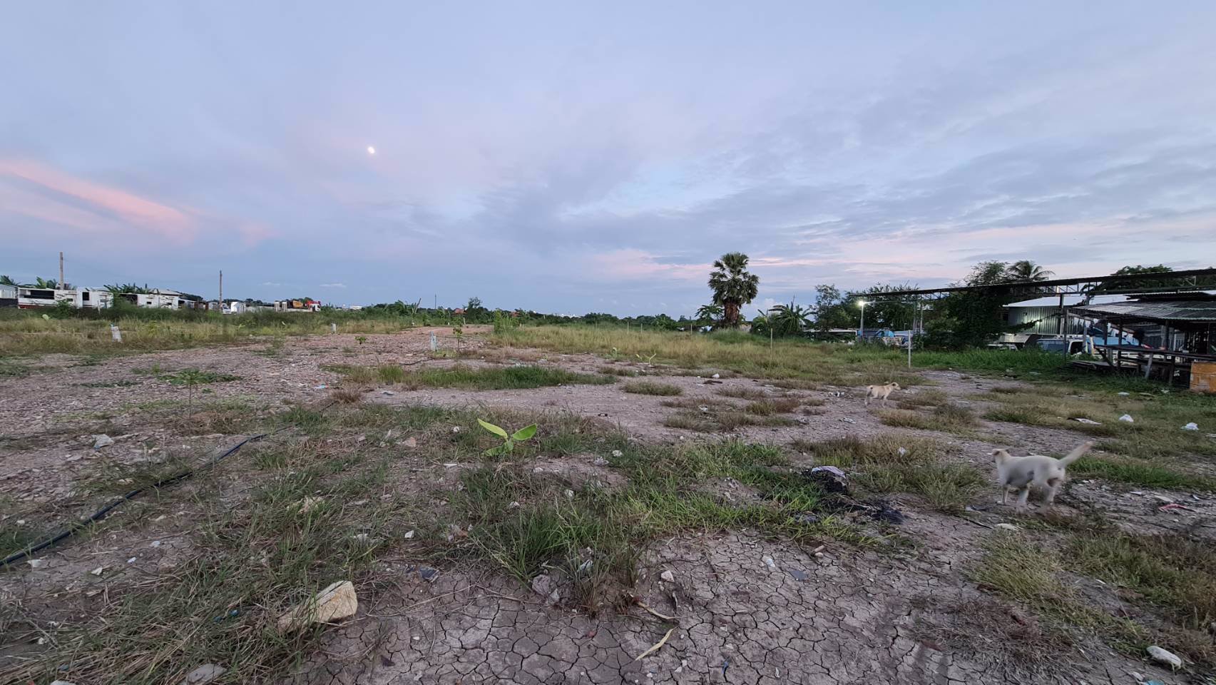 ให้เช่าที่ดินเปล่าถมแล้ว-เนื้อที่-150-ตรว-4ไร่