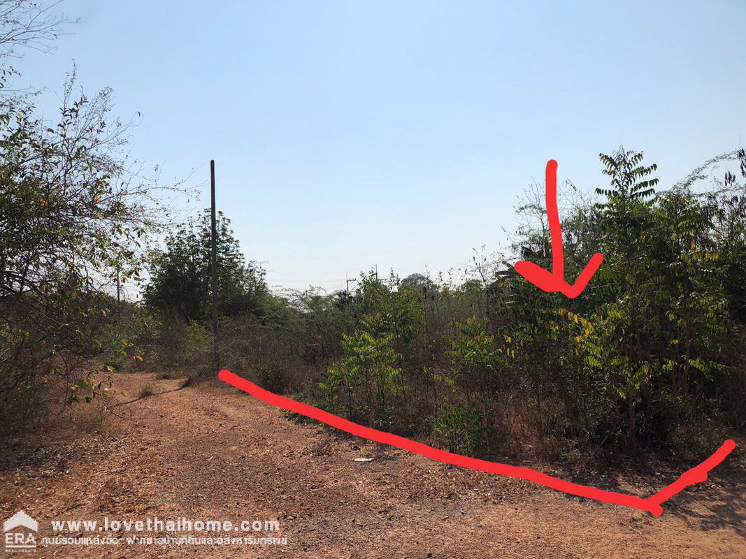 ขายที่ดินหัวหินประจวบคีรีขันธ์-ซหัวหิน70-ที่ถมแล้ว