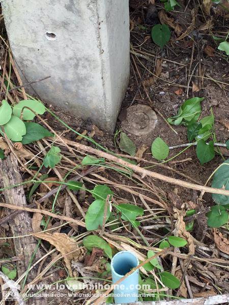 ขายที่ดินหัวหินประจวบคีรีขันธ์-ซหัวหิน70-ที่ถมแล้ว