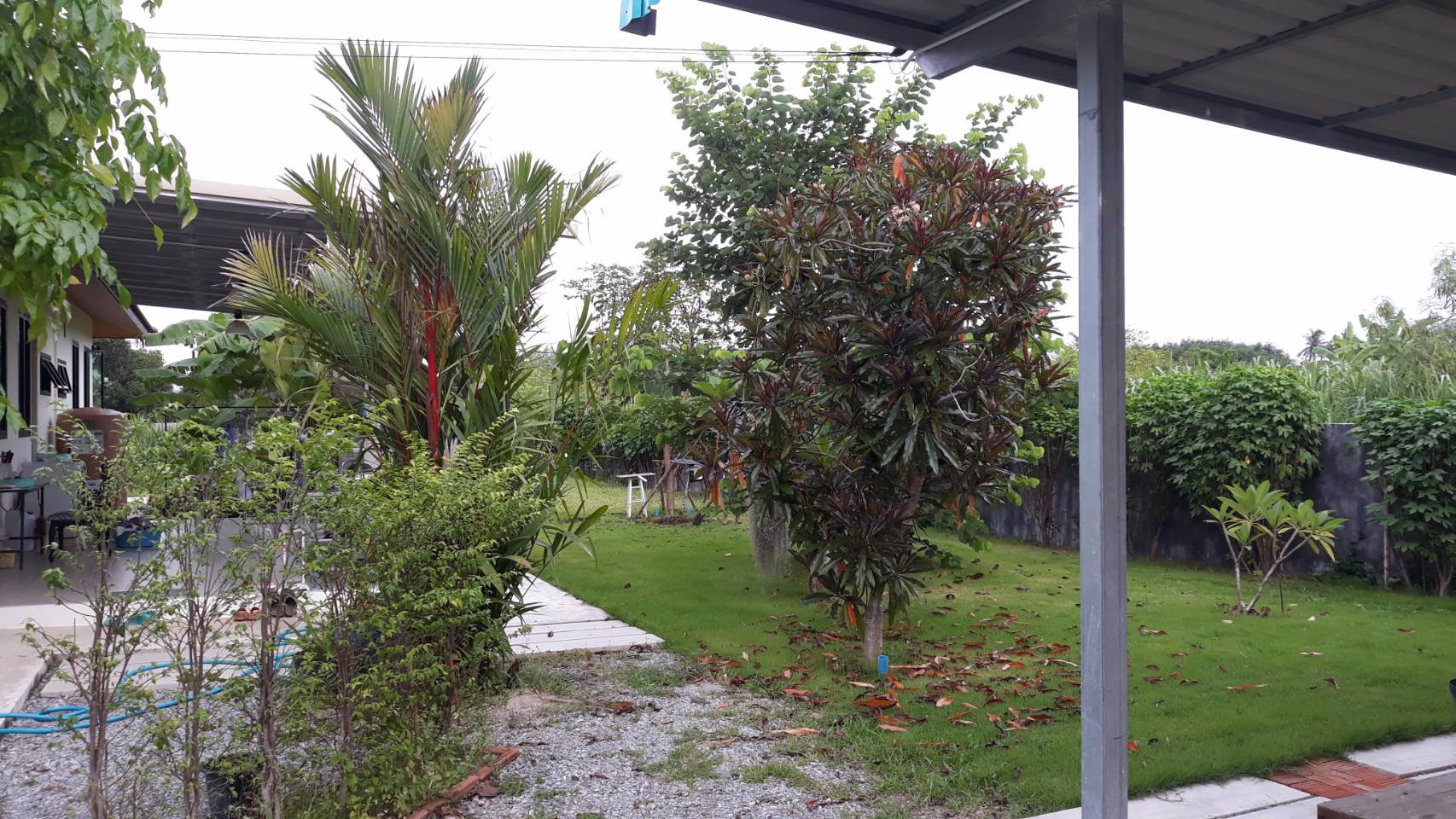 ขายบ้านพร้อมที่ดินโฉนดครุฑแดง-เนื้อที่3ไร่-34-ตรว