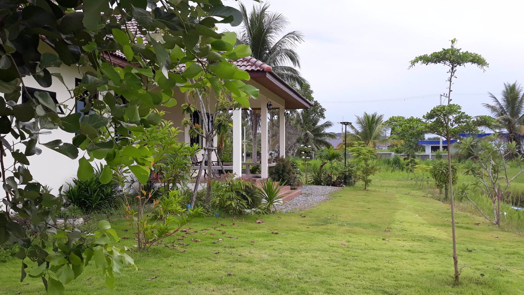 ขายบ้านพร้อมที่ดินโฉนดครุฑแดง-เนื้อที่3ไร่-34-ตรว