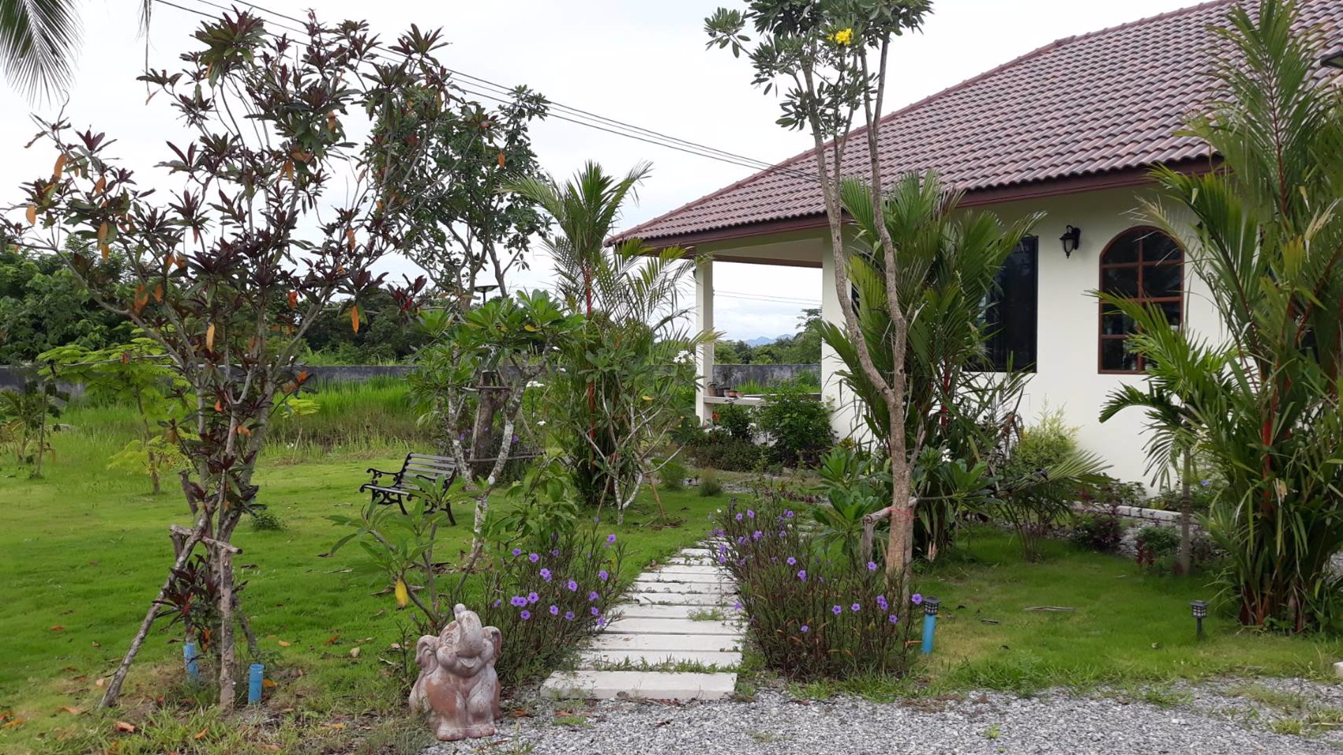 ขายบ้านพร้อมที่ดินโฉนดครุฑแดง-เนื้อที่3ไร่-34-ตรว