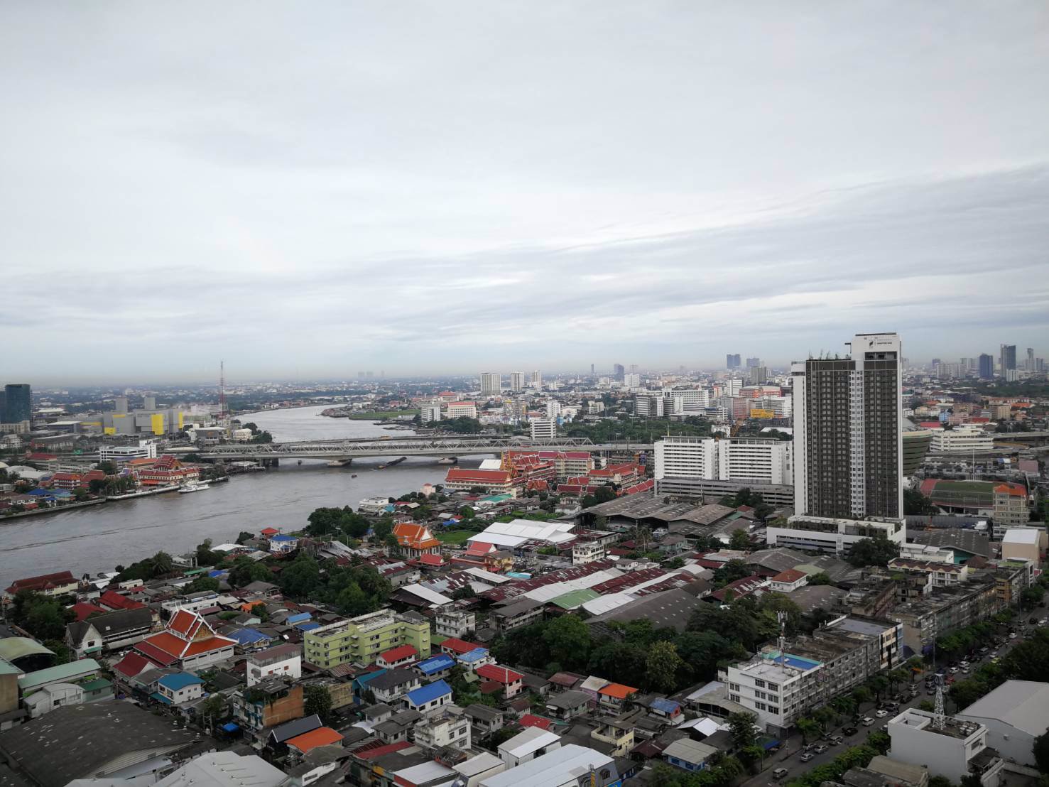 ขายด่วน-the-tree-บางโพ