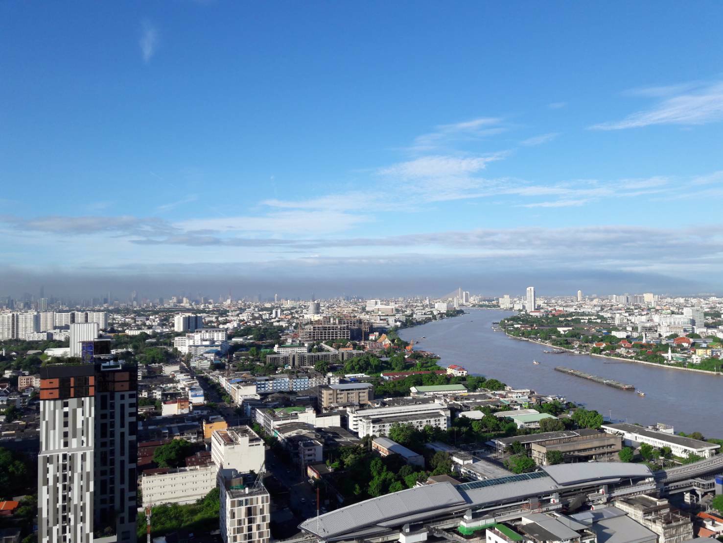 ขายด่วน-the-tree-บางโพ