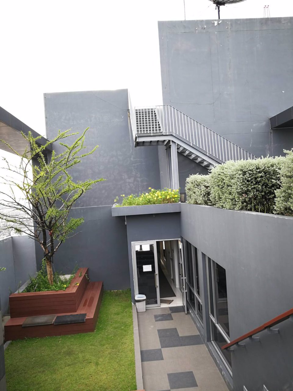 ขายด่วน-the-tree-บางโพ